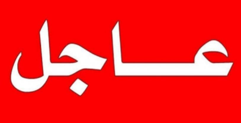 النسخة المصغرة