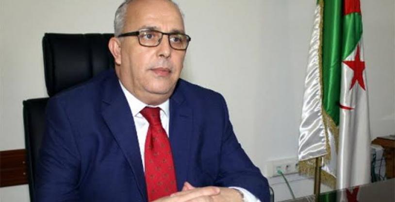 النسخة المصغرة