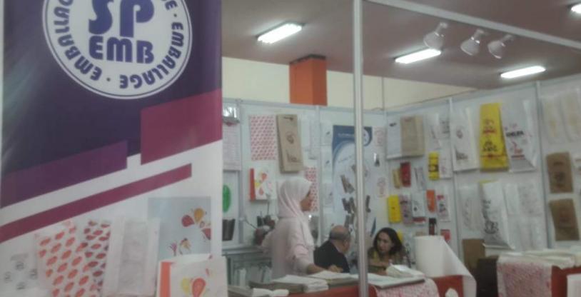 النسخة المصغرة