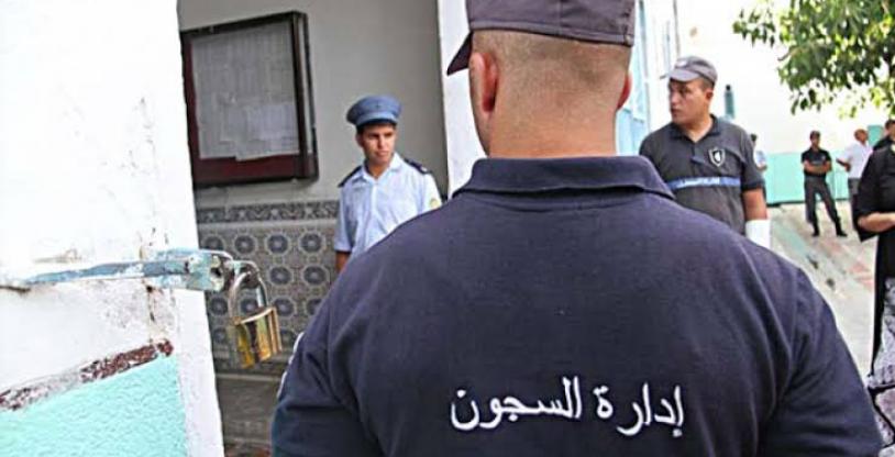 النسخة المصغرة