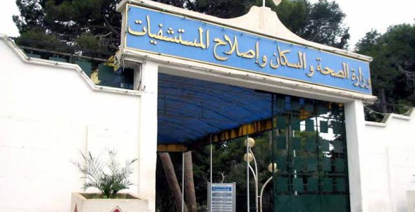 النسخة المصغرة