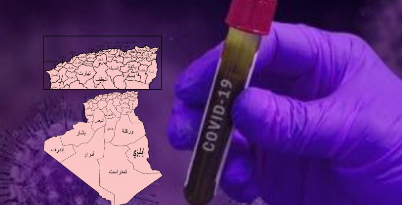 النسخة المصغرة