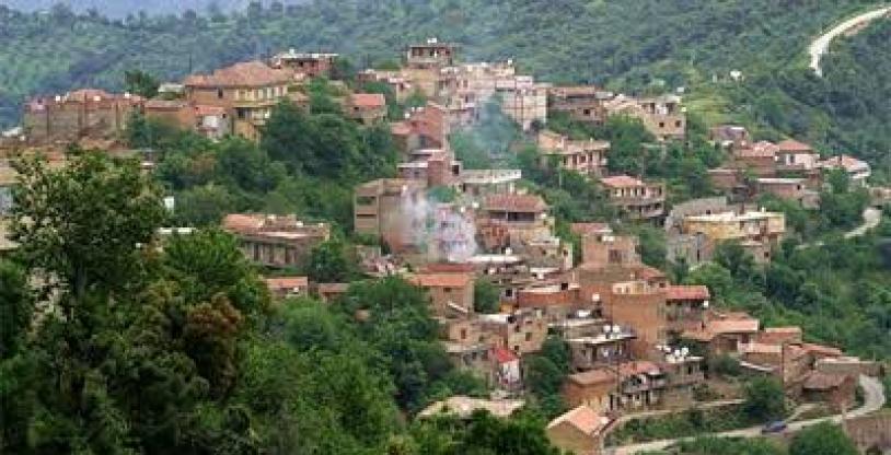 النسخة المصغرة