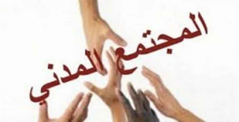 النسخة المصغرة