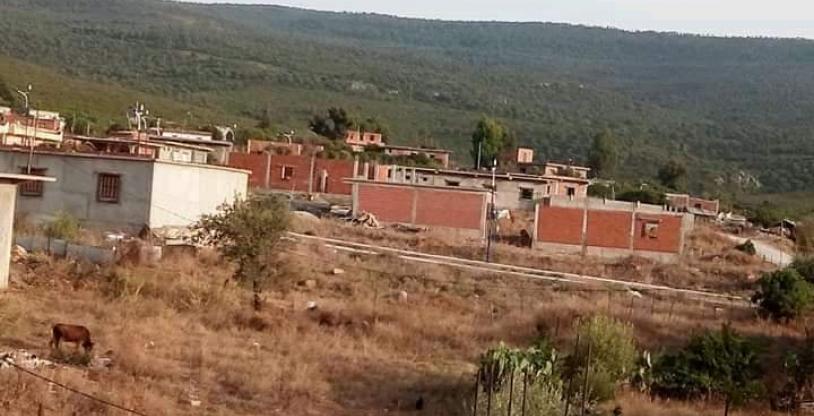 النسخة المصغرة