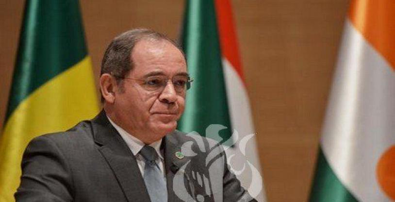 النسخة المصغرة