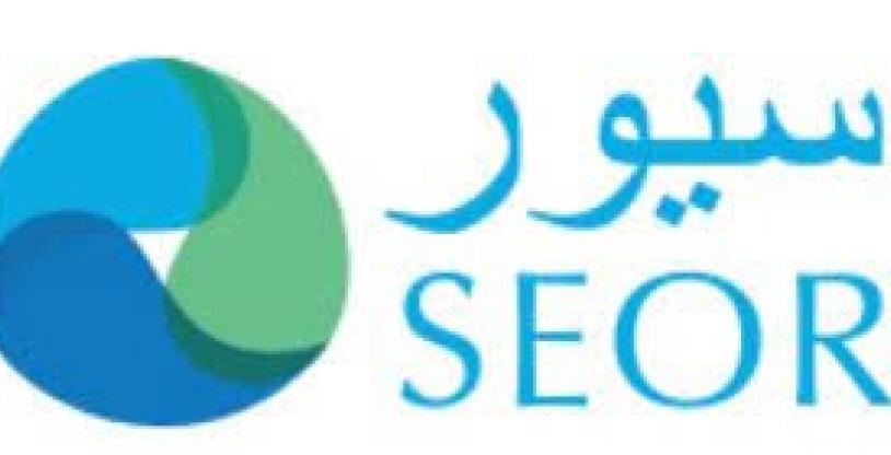 النسخة المصغرة