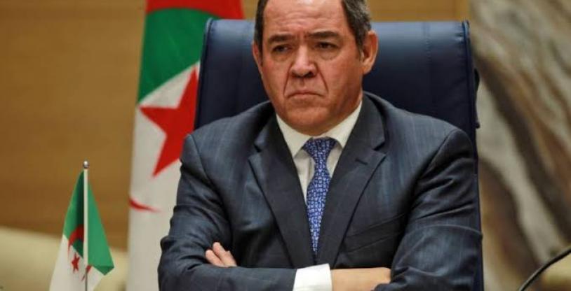 النسخة المصغرة