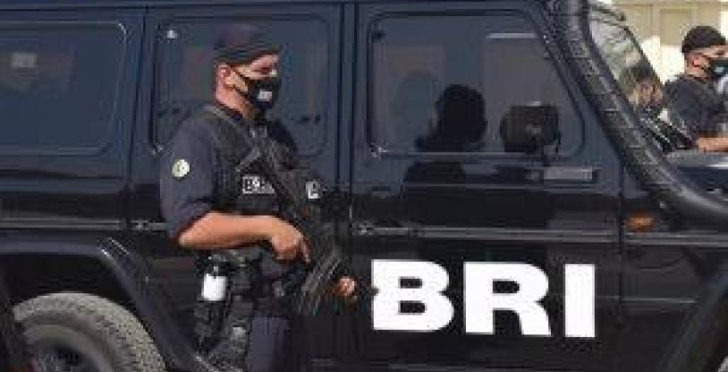 النسخة المصغرة