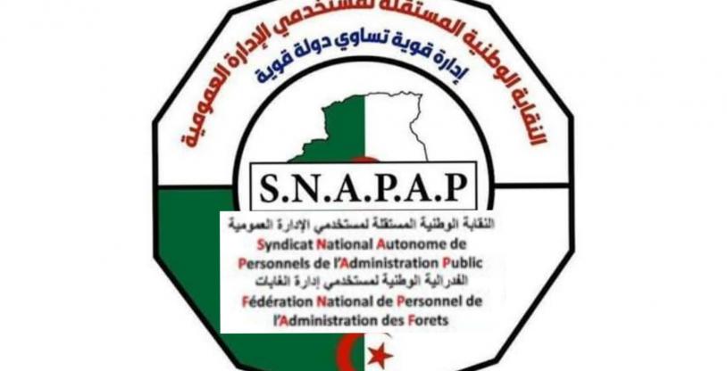 النسخة المصغرة