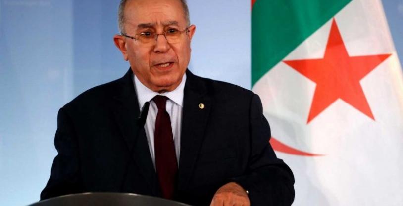 النسخة المصغرة