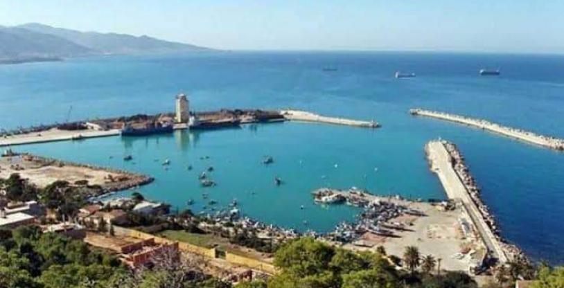 النسخة المصغرة