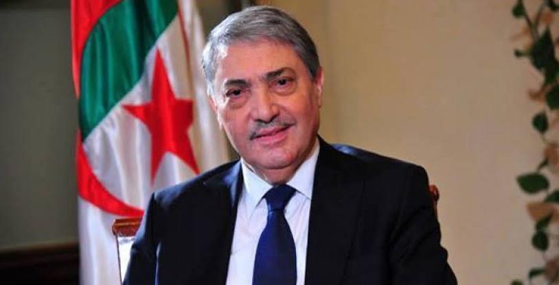 النسخة المصغرة