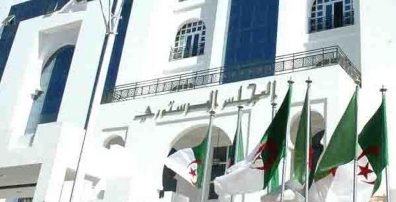 النسخة المصغرة