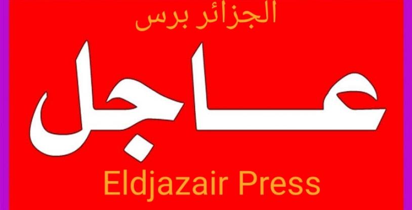 النسخة المصغرة