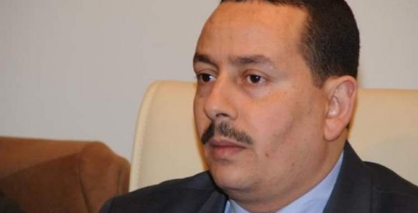 النسخة المصغرة