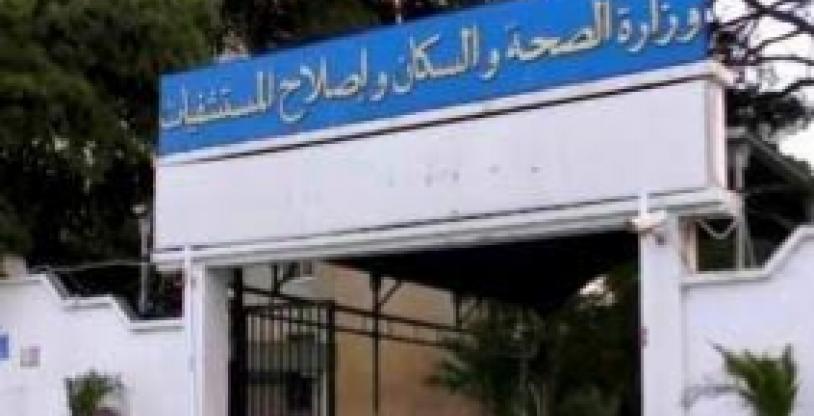 النسخة المصغرة