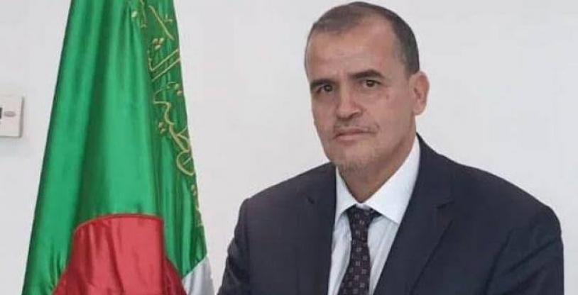 النسخة المصغرة