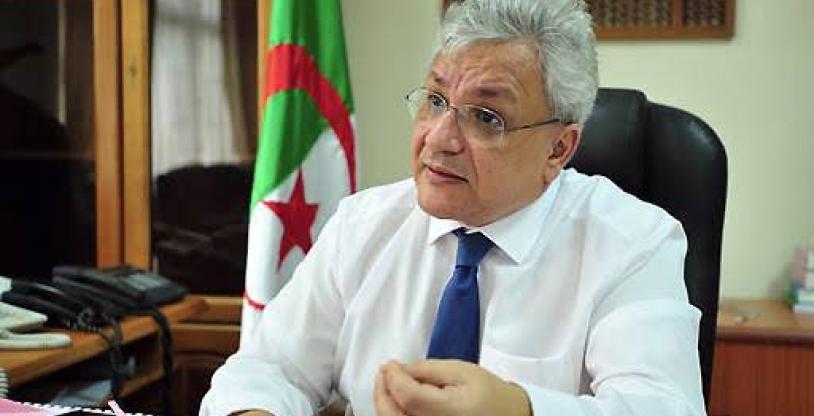 النسخة المصغرة