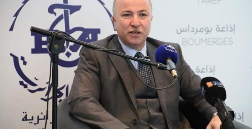 النسخة المصغرة