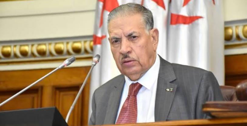 النسخة المصغرة