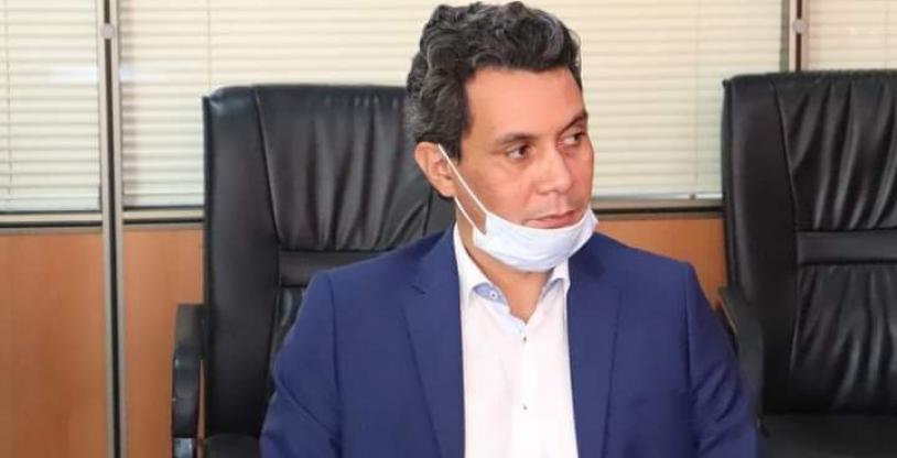 النسخة المصغرة
