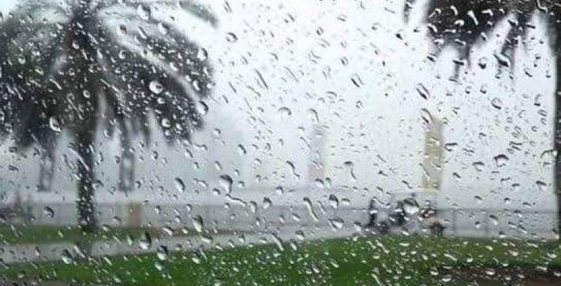 النسخة المصغرة