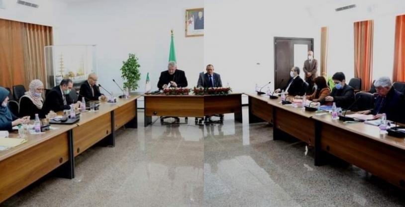 النسخة المصغرة