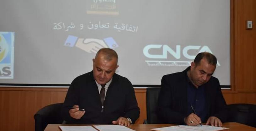 النسخة المصغرة