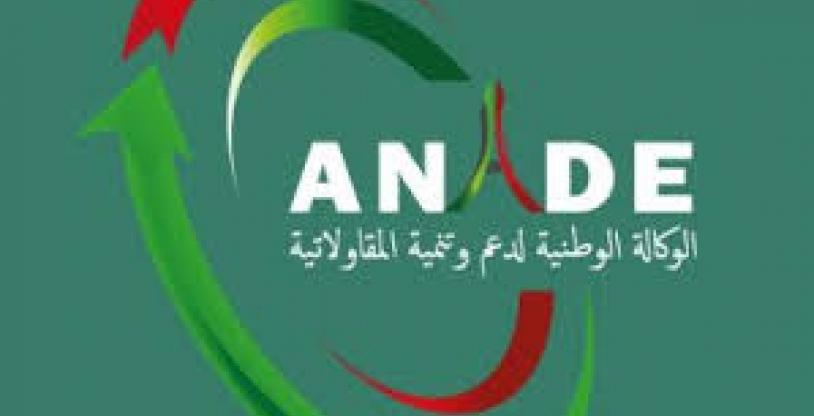 النسخة المصغرة