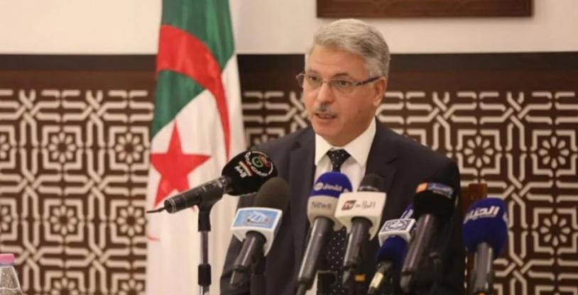 النسخة المصغرة