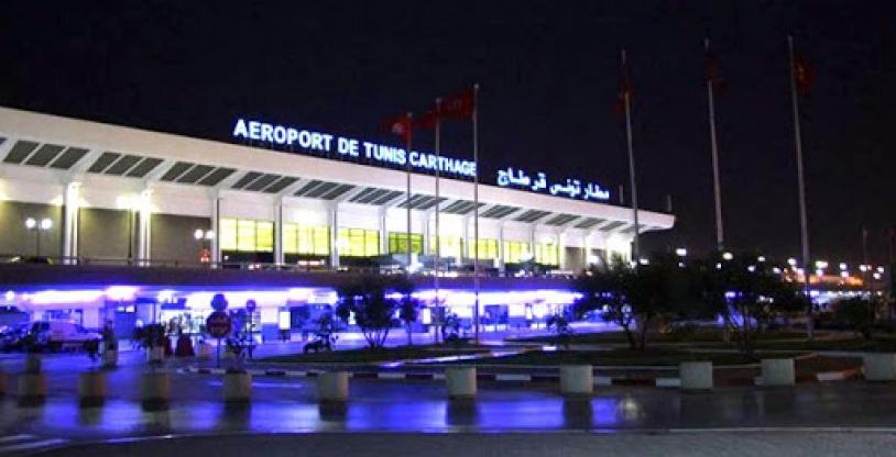 النسخة المصغرة