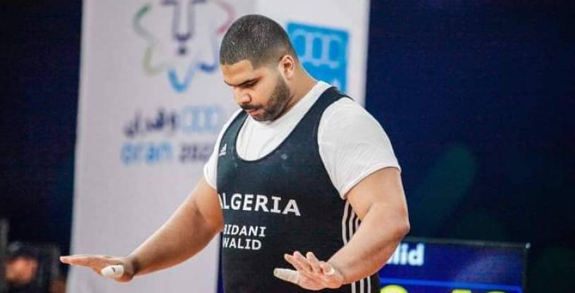 النسخة المصغرة