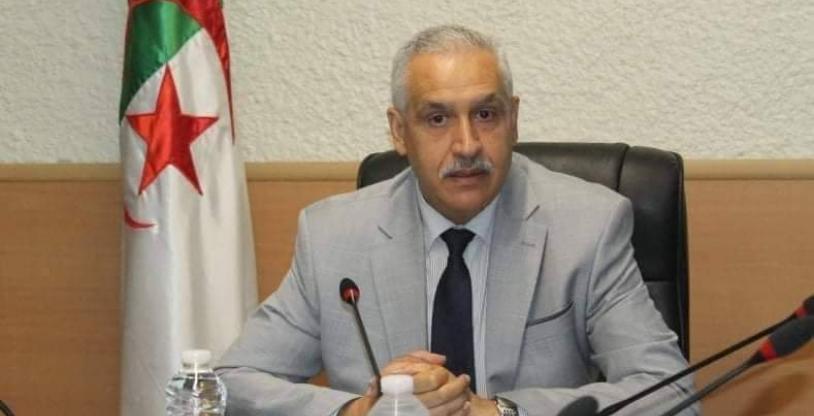 النسخة المصغرة