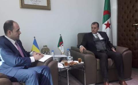 النسخة المصغرة