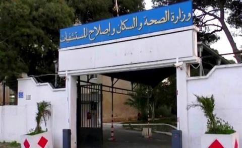 النسخة المصغرة