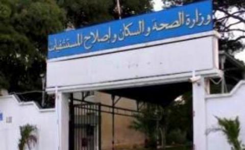 النسخة المصغرة