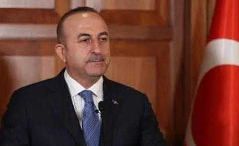 النسخة المصغرة